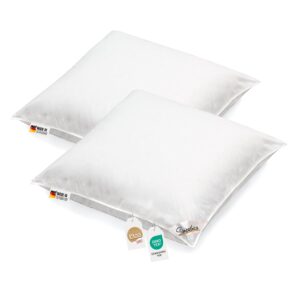 2 Stück Kopfkissen 1100g neue weiße Federn Klasse 1 Daunenpass 80x80