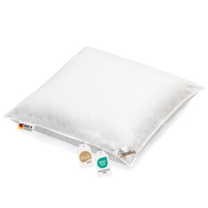 Kopfkissen Kissen 1100g neue weiße Federn Klasse 1 Daunenpass 80x80