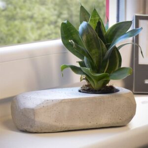 Blumentopf Beton Concrete Planter No.1 | Raumzutaten