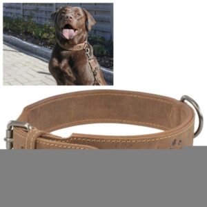 Greenburry Hundehalsband Leder Vintage antik braun