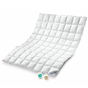 Daunenpass Sommer Daunen Bettdecke Sommerbett Sommerdecke 240g 135x200