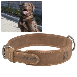 Massives Hunde-Halsband für maximale Hundegrößen aus Leder in antikbraun | Greenburry. Sichere Leinenführung für den geordneten Alltag mit Hund.